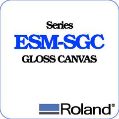 Roland ESM Canvas