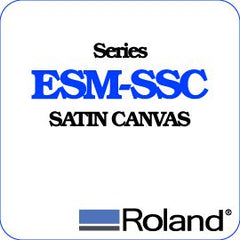 Roland ESM Canvas